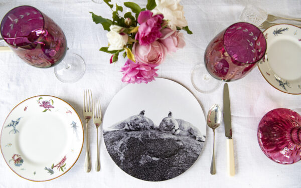 Safari Placemat Sets – £64