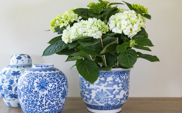 SOLD – Large Blue and White Planter