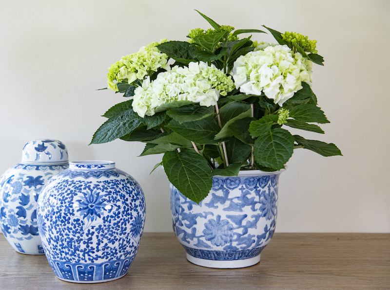 SOLD – Large Blue and White Planter