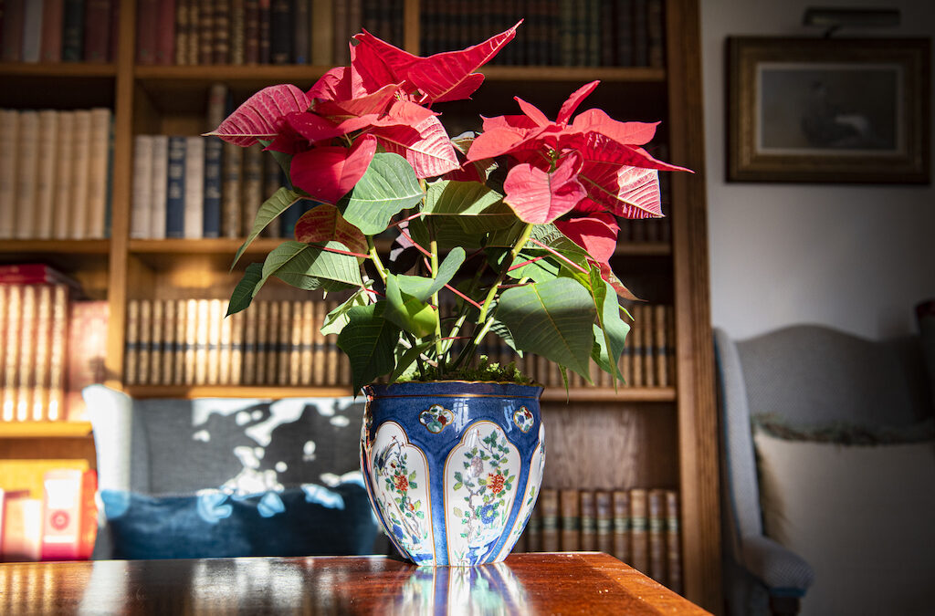 SOLD – Blue Decorative Cachepot