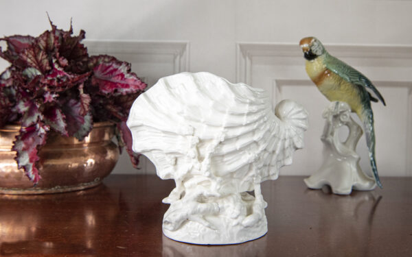 White Nautilus Shell – £165