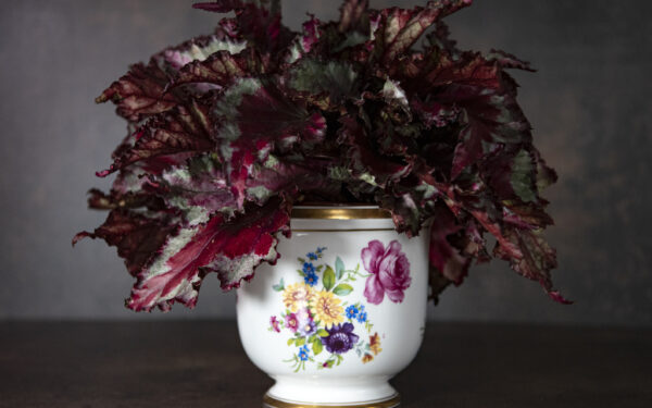 Floral Vista Alegre Cachepot – £42