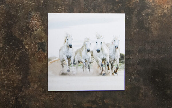 White Horses Card