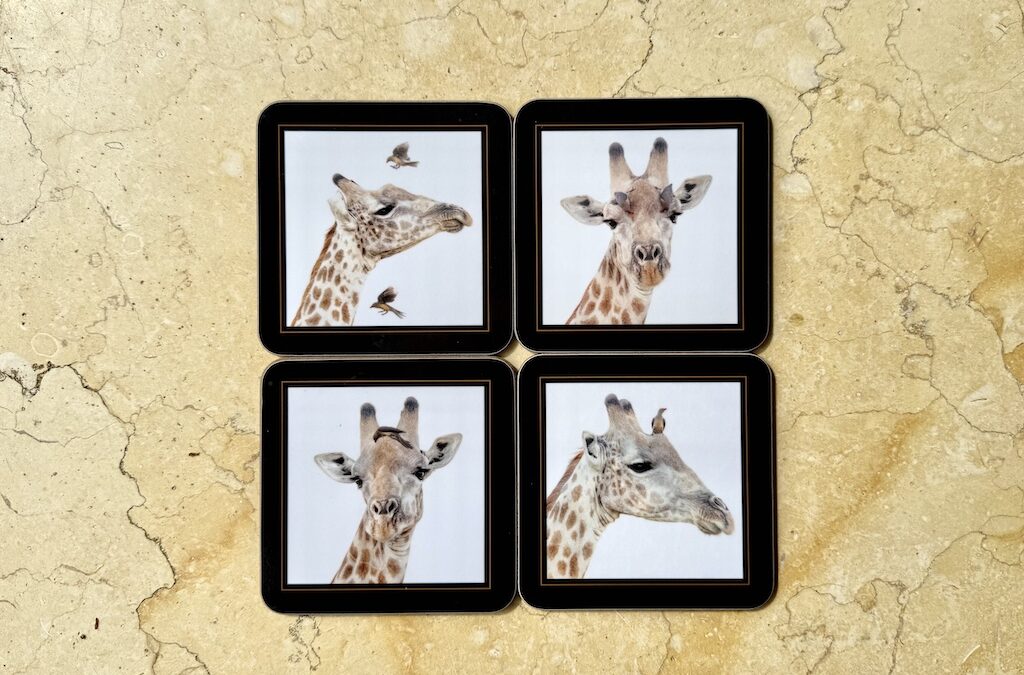 Coasters – Giraffe & Bird – £30