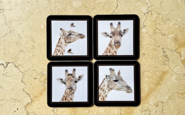 Coasters – Giraffe & Bird – £30