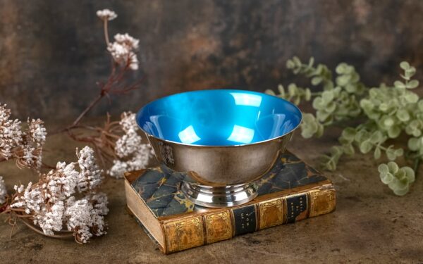 Reed & Barton Blue Enamel Bowl – £38